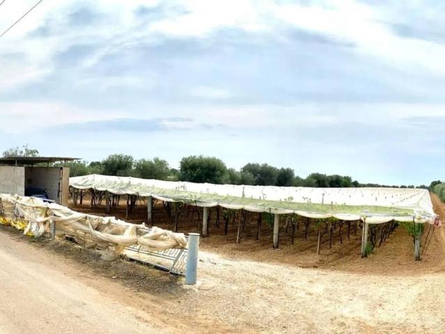 Terreno in vendita a Puglia, Taranto