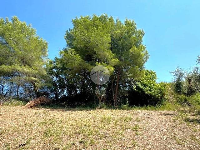 Terreno in vendita a Montesecco, Marche