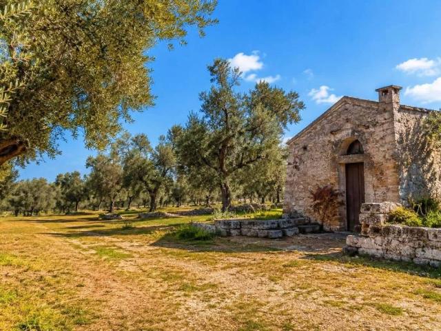 Terreno in vendita a Puglia, Bari