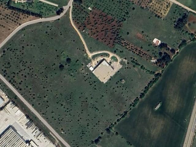 Terreno in vendita a Grumo Appula, Bari