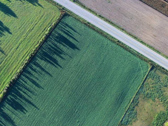 Terreno in vendita a Grumolo Delle Abbadesse, Veneto