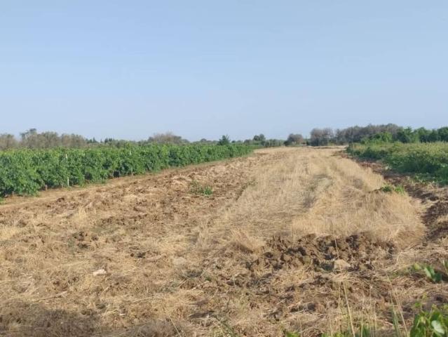 Terreno in vendita a Puglia, Lecce