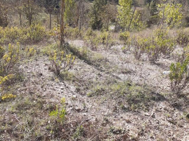 Terreno in vendita a Gualdo Cattaneo, Umbria