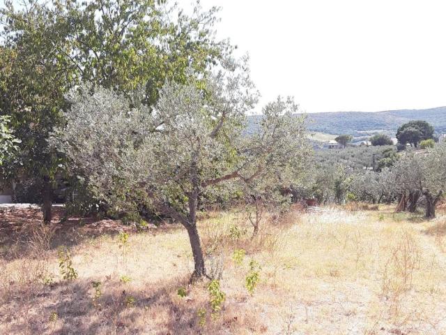 Terreno in vendita a Gualdo Cattaneo, Umbria