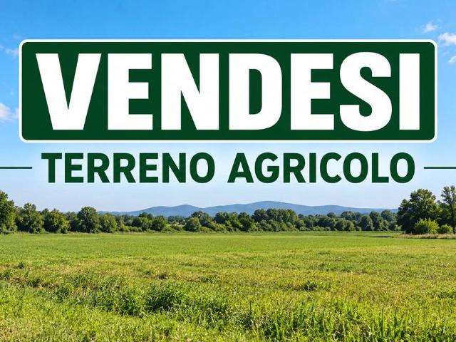 Terreno in vendita a Cadorago, Como