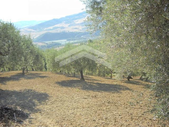 Terreno in vendita a Guardialfiera, Molise