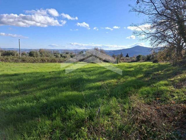 Terreno in vendita a Guardialfiera, Molise