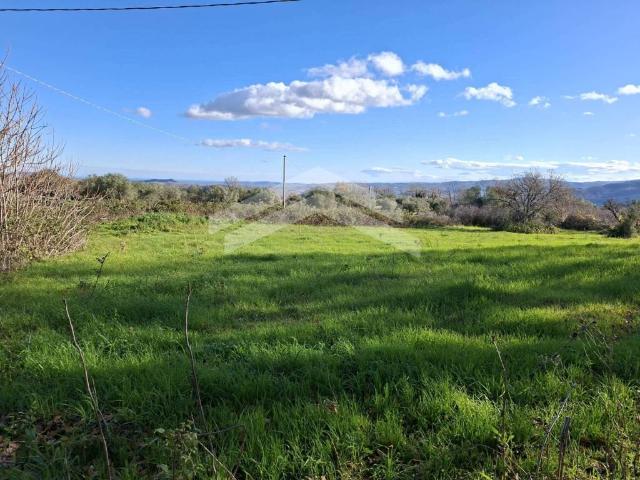 Terreno in vendita a Guardialfiera, Molise