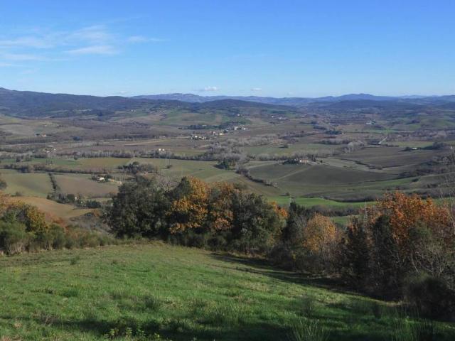 Terreno in vendita a Guardistallo, Toscana