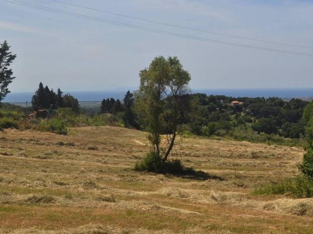 Terreno in vendita a Guardistallo, Toscana