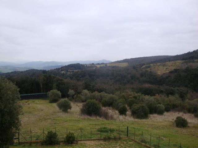 Terreno in vendita a Guardistallo, Toscana