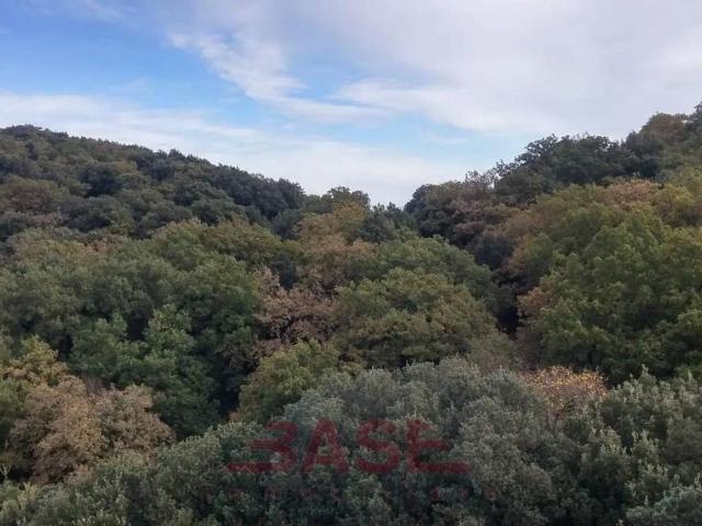 Terreno in vendita a Casino di Terra, Guardistallo