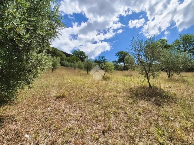 Terreno in vendita a Gubbio, Umbria