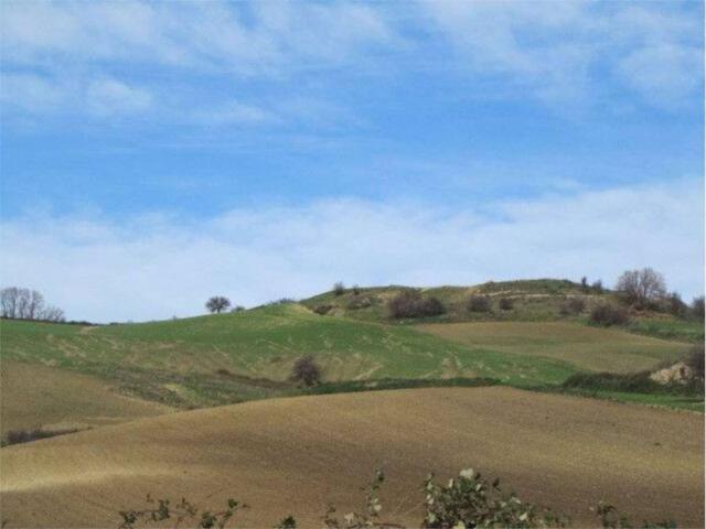 Terreno in vendita a Guglionesi, Campobasso