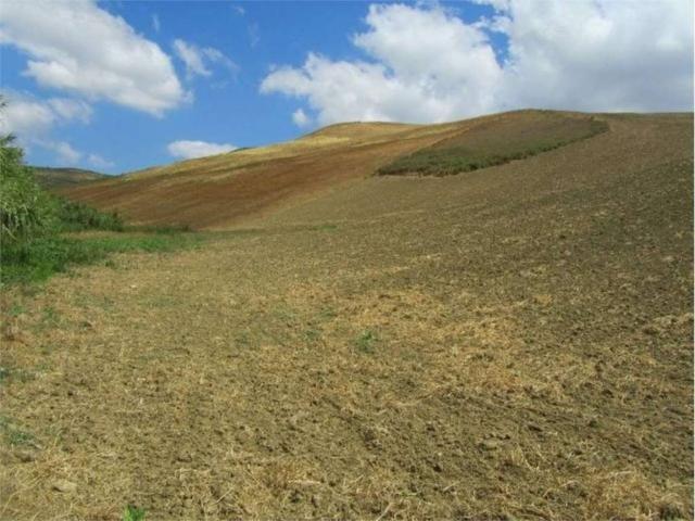 Terreno in vendita a Guglionesi, Campobasso