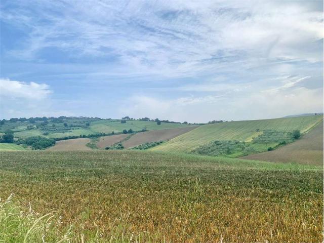 Terreno in vendita a Guglionesi, Campobasso