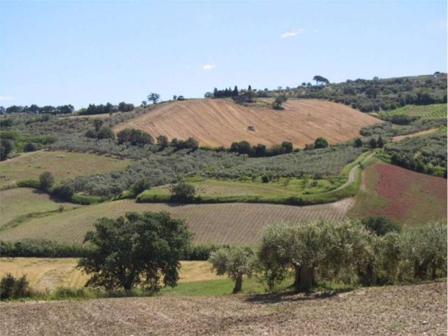 Terreno in vendita a Guglionesi, Campobasso