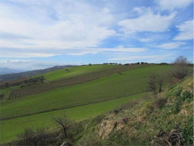 Terreno in vendita a Guglionesi, Campobasso