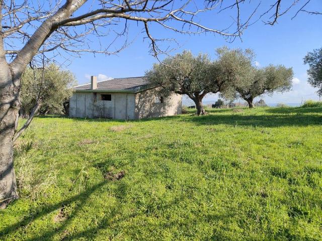 Terreno in vendita a Guglionesi, Molise