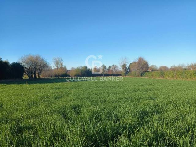 Terreno in vendita a Guidizzolo, Lombardia