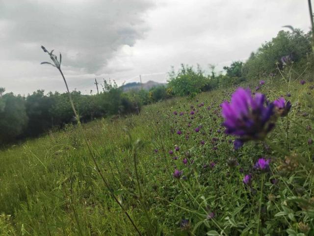 Terreno in vendita a Guidonia Montecelio, Roma Capitale