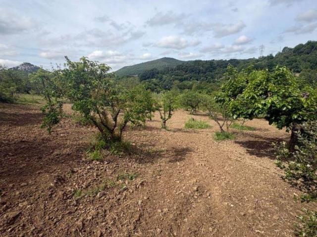 Terreno in vendita a Guidonia Montecelio, Roma Capitale