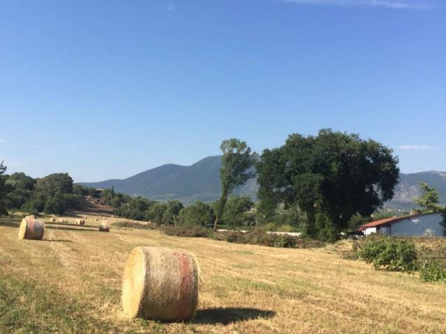 Terreno in vendita a Guidonia Montecelio, Roma Capitale