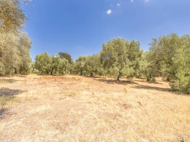 Terreno in vendita a Montecelio, Roma Capitale