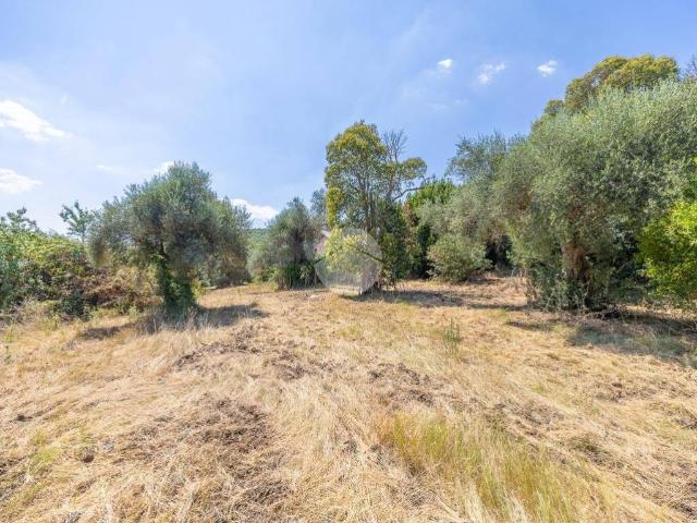 Terreno in vendita a Montecelio, Roma Capitale