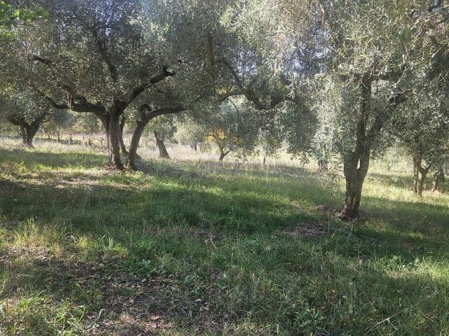Terreno in vendita a Guidonia Montecelio, Roma Capitale