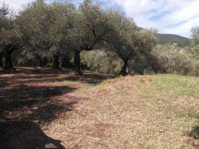 Terreno in vendita a Guidonia Montecelio, Roma Capitale