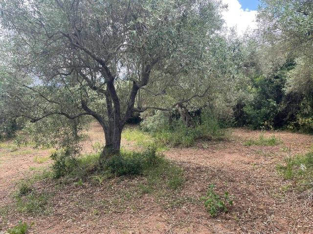 Terreno in vendita a Guspini, Sardigna/Sardegna
