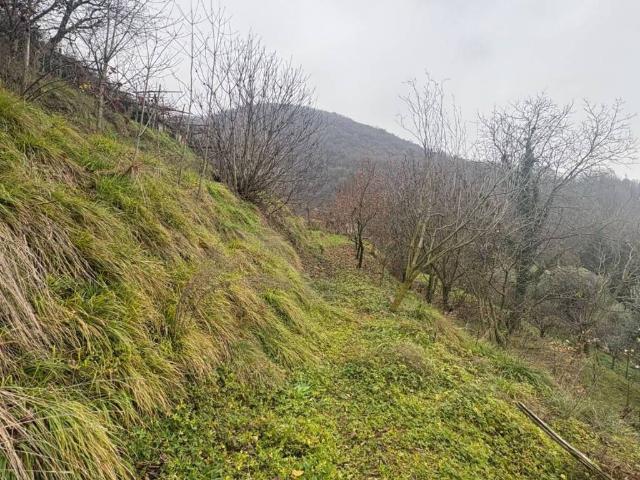 Terreno in vendita a Gussago, Lombardia