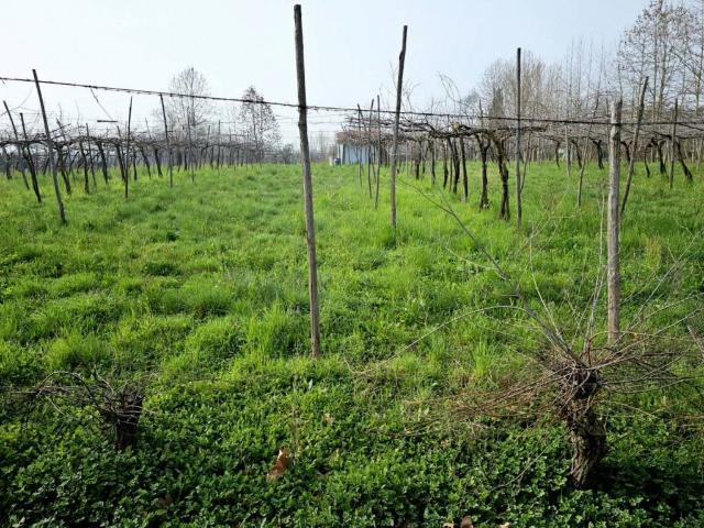 Terreno in vendita a Cellatica, Lombardia