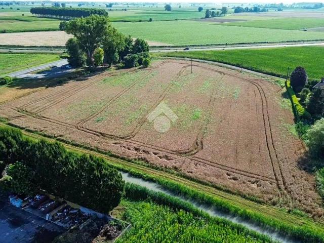 Terreno in vendita a Gussola, Lombardia
