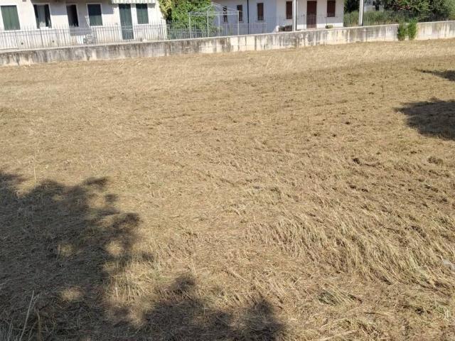 Terreno in vendita a Illasi, Veneto