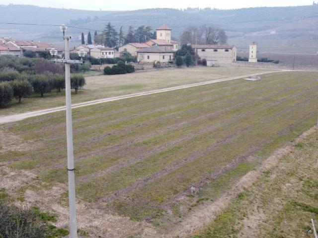 Terreno in vendita a Illasi, Veneto