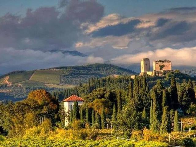 Terreno in vendita a Illasi, Veneto