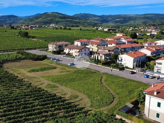 Terreno in vendita a Illasi, Veneto