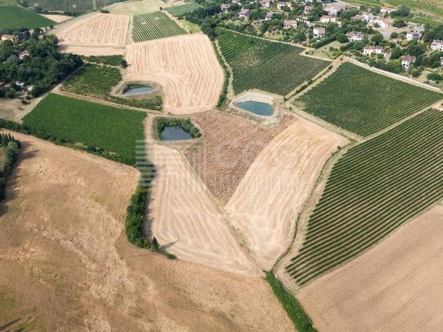 Terreno in vendita a Nuovo Circondario Imolese, Imola