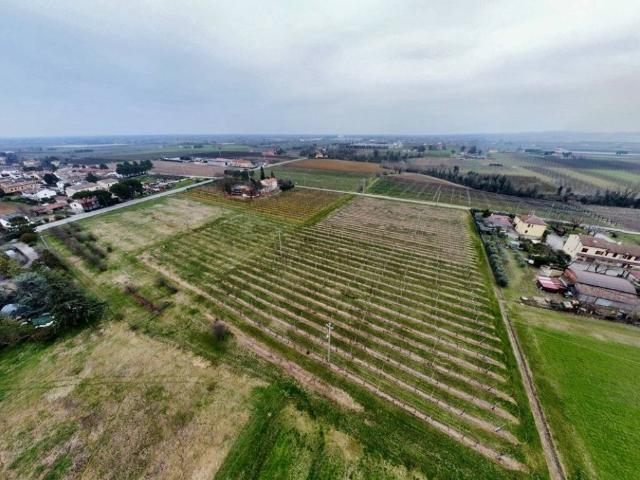 Terreno in vendita a Nuovo Circondario Imolese, Imola