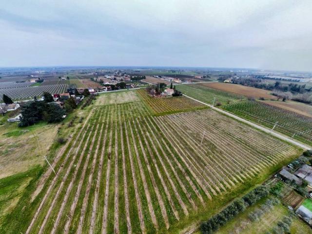 Terreno in vendita a Nuovo Circondario Imolese, Imola