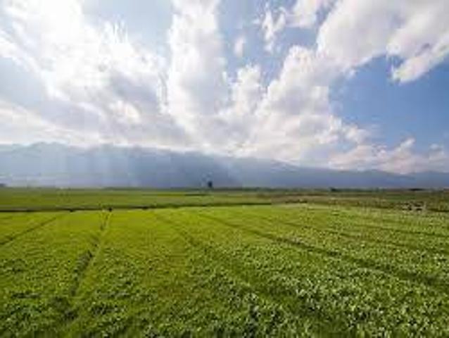 Terreno in vendita a Nuovo Circondario Imolese, Imola