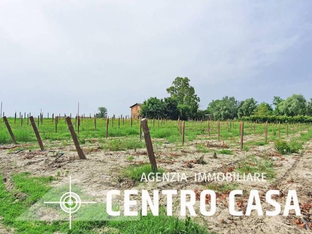 Terreno in vendita a Nuovo Circondario Imolese, Imola