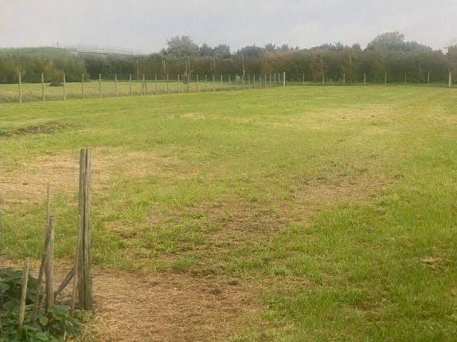 Terreno in vendita a Nuovo Circondario Imolese, Imola