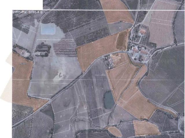 Terreno in vendita a Nuovo Circondario Imolese, Imola