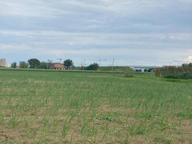 Terreno in vendita a Nuovo Circondario Imolese, Imola