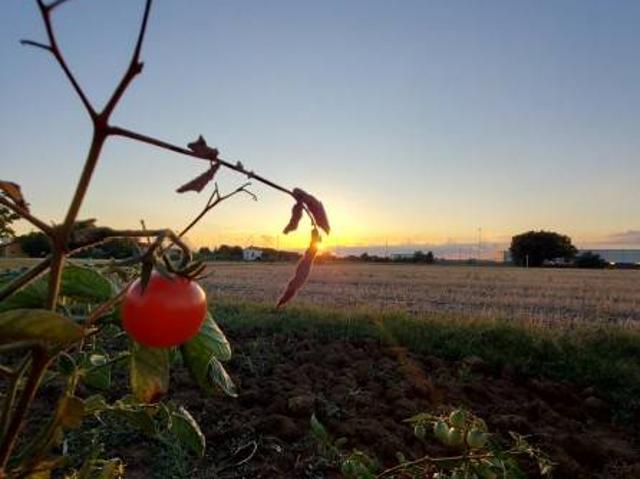 Terreno in vendita a Nuovo Circondario Imolese, Imola
