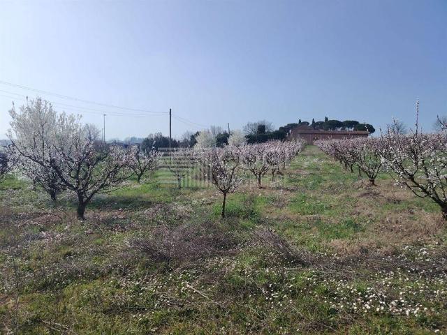 Terreno in vendita a Nuovo Circondario Imolese, Imola