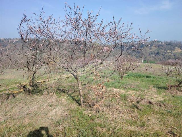 Terreno in vendita a Nuovo Circondario Imolese, Imola